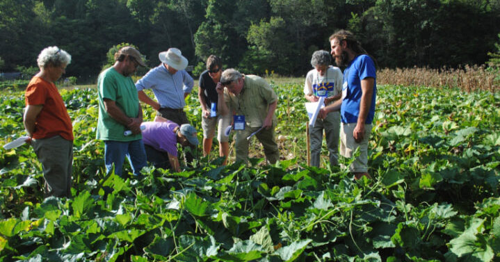 Photo of Common Wealth Seed Growers in the field