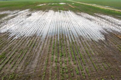 Aerial view of storm water on cotton fields that are already saturated with days of heavy rain.