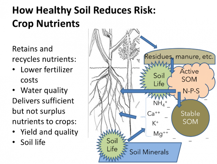 Graphic of how healthy soil reduces risks: crop nutrients